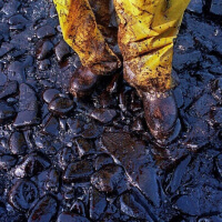 Нефтесорбент «NES»