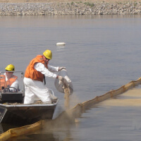 Нефтесорбент «NES»