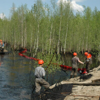 Нефтесорбент «NES»