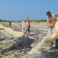 Нефтесорбент «NES»